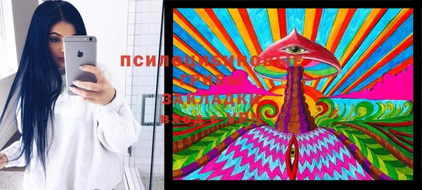 дмт Армянск
