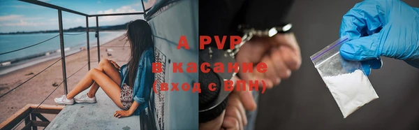 спиды Аркадак