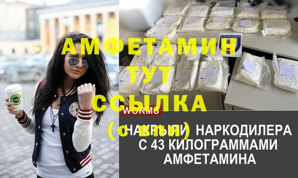 спиды Аркадак