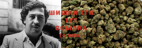 спиды Аркадак