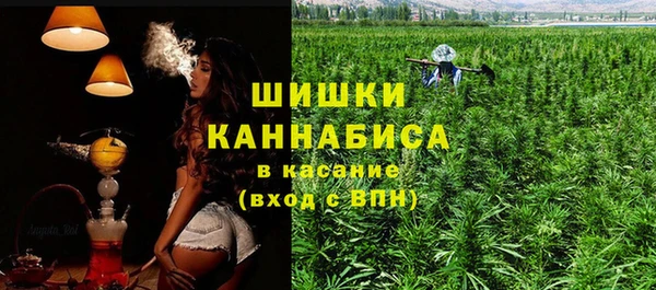 дживик Арсеньев