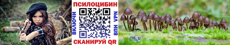 Купить закладки  Фокино  Галлюциногенные грибы Psilocybine cubensis 